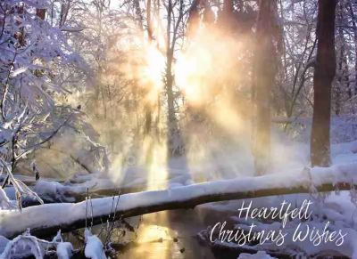 Product 540-0369 - View 2 540-0369 Product Image 2