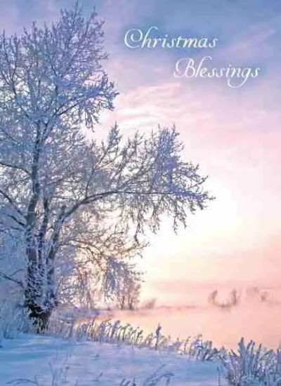 Product 540-0369 - View 4 540-0369 Product Image 4