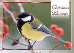 Image of Winter Cheer Boxed Christmas Cards 12 pk.