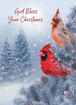 Image of Bird Songs Boxed Christmas Cards 12 pk.
