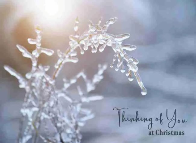 540-0372 Product Image 3