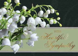 Image of Value Boxed Cards All Occasion