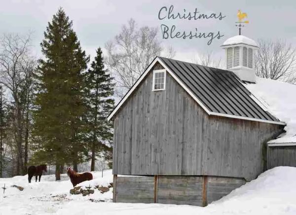 Product 540-0387 - View 3 540-0387 Product Image 3