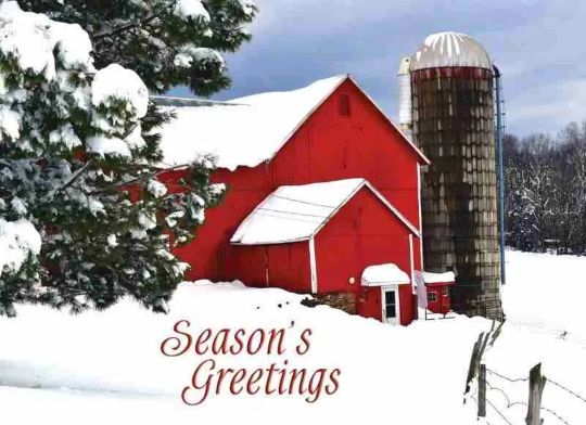 Product 540-0387 - View 4 540-0387 Product Image 4