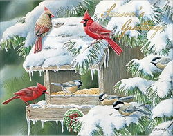 Image of Cardinal Christmas Boxed Cards