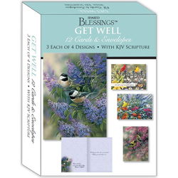 Image of GET WELL III – Assorted Get Well Cards, Box of 12