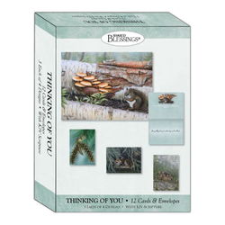 Image of Woodlands – Boxed Thinking of You Cards, Box of 12