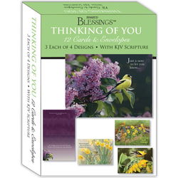 Image of Thinking of You II – Assorted Thinking of You Cards, Box of 12