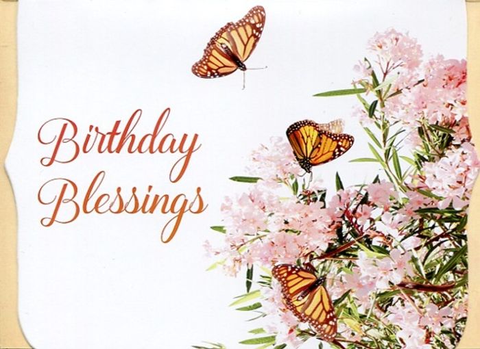 540-0493 Product Image 2