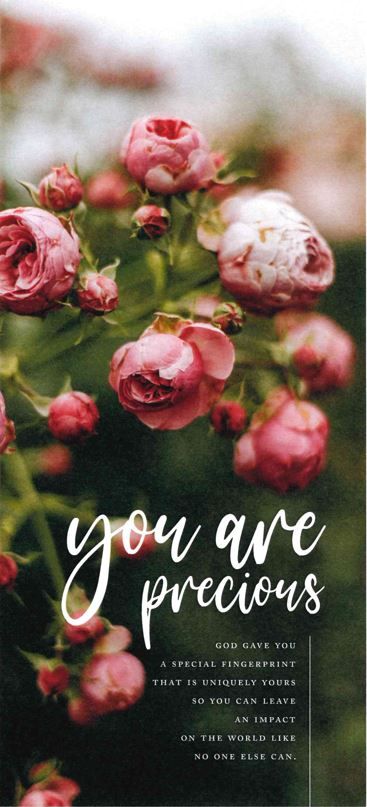 540-0500 Product Image 2