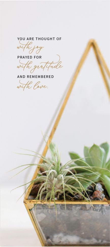 Image of ICare- Insightful Thinking of You Card Package