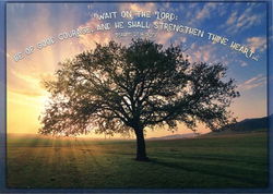 Image of Boxed Sympathy Cards – Hope In the Lord