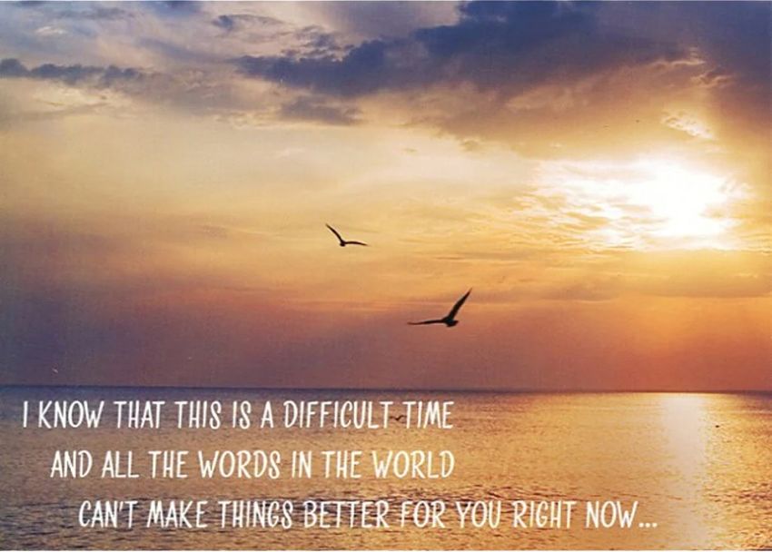 Product 540-0521 - View 4 540-0521 Product Image 4