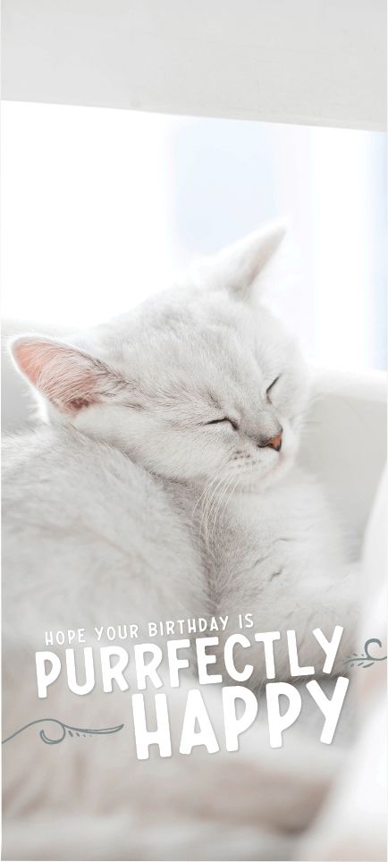 Image of ICare- Miraculous Baby Card Package