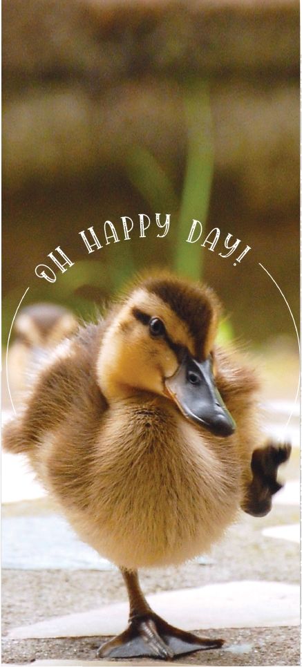 540-0537 Product Image 2