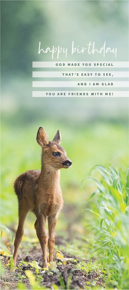 540-0537 Product Image 3