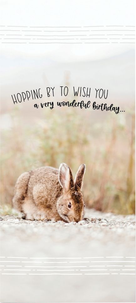 540-0537 Product Image 4