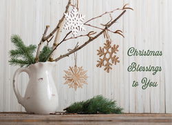 Image of Gift of Peace Boxed Christmas Cards 12 pk.