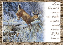 Image of Winter Deer Boxed Christmas Cards 12 pk.