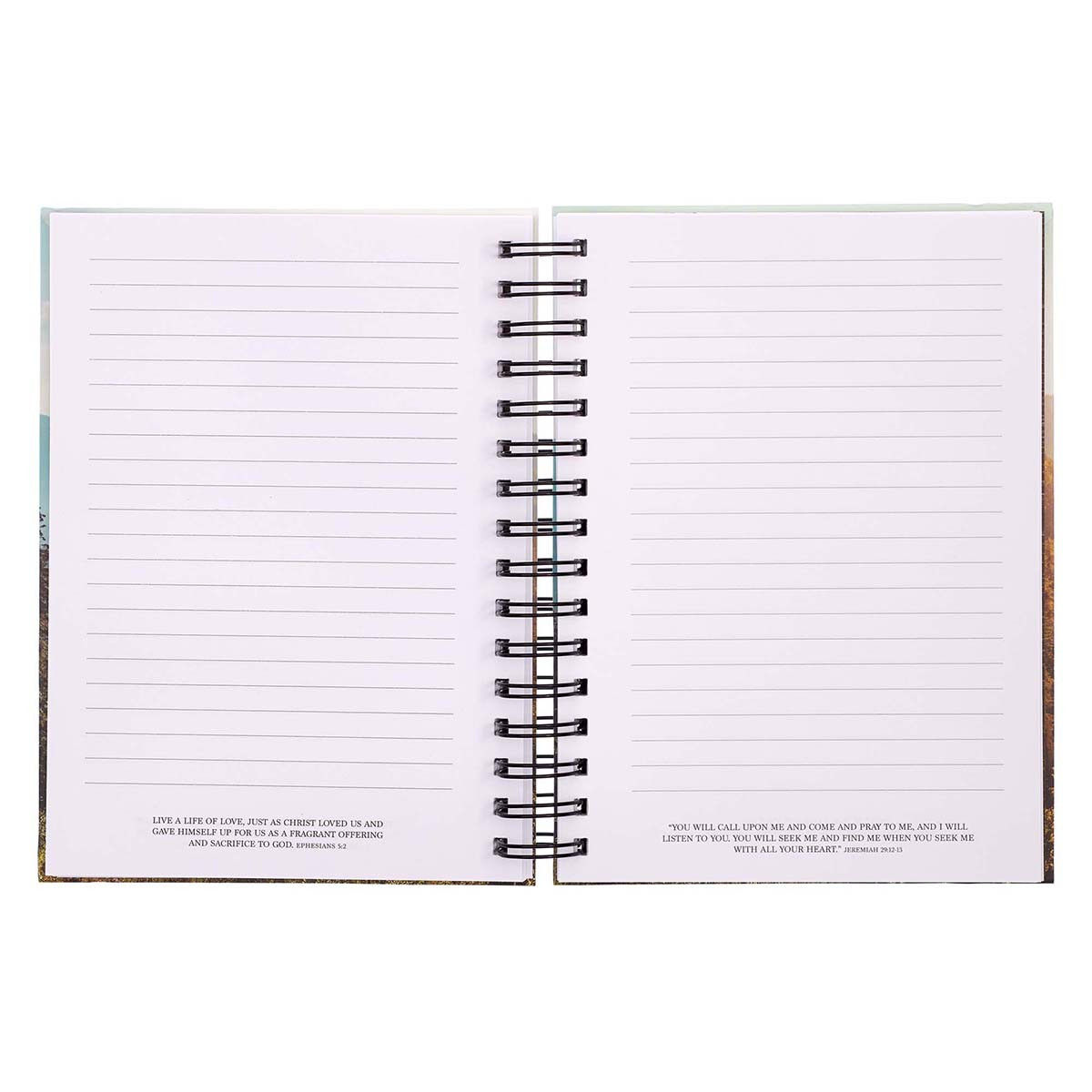 Product 550-0031 - View 3 550-0031 Product Image 3