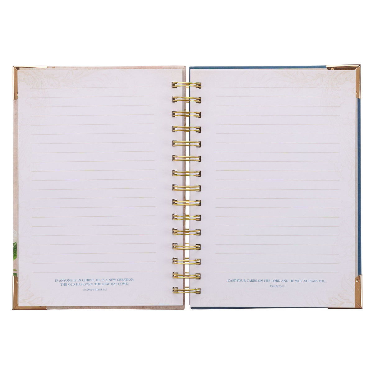 550-0067 Product Image 3