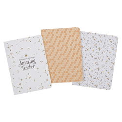 Image of Notebook Set 3pc Amazing Teacher