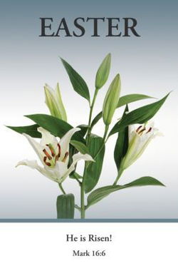 Image of Easter Bulletin: He Is Risen (Package of 100) Mark 16:6 KJV