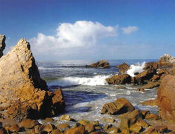 Image of Attendance Chart – Rocky Coast