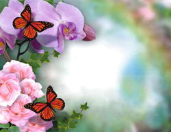 Image of Attendance Chart – Butterflies and Flowers