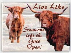 Image of Highland Cow Magnet – Live Like Gate Open