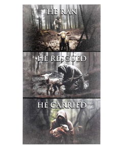 Image of Magnet He Ran Rescued Carried 2.75X5