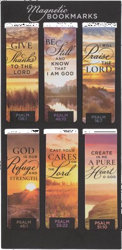 Product 560-0282 - View 1 560-0282 Product Image 1