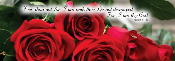 560-0303 Product Image 1