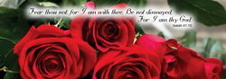 Image of Red Rose Bookmark Isaiah 41:10