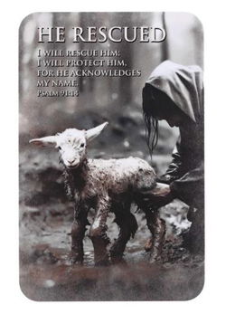 Image of Pocketcard He Rescued Ps. 91:14