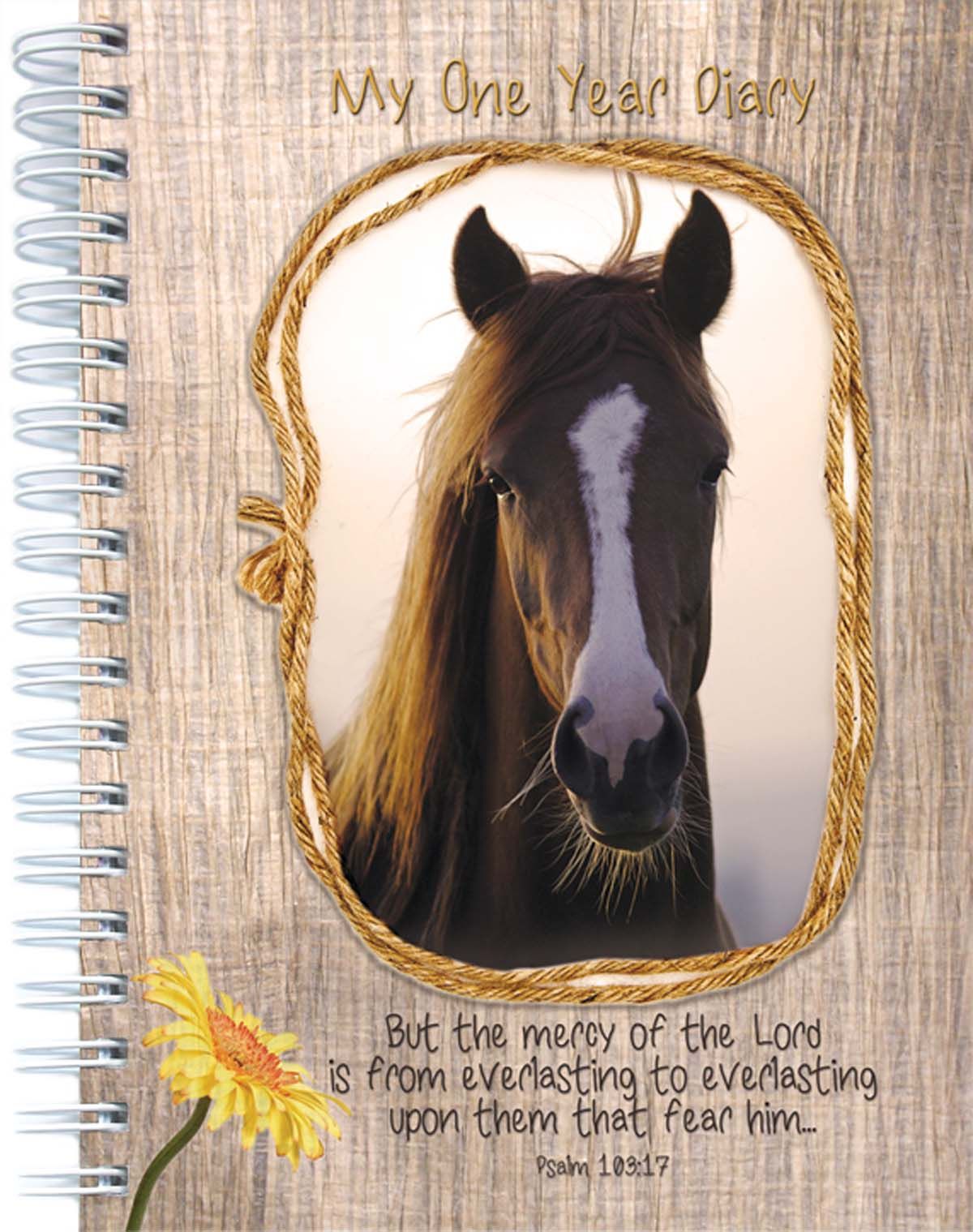 Product 600-0124 - View 1 600-0124 Product Image 1