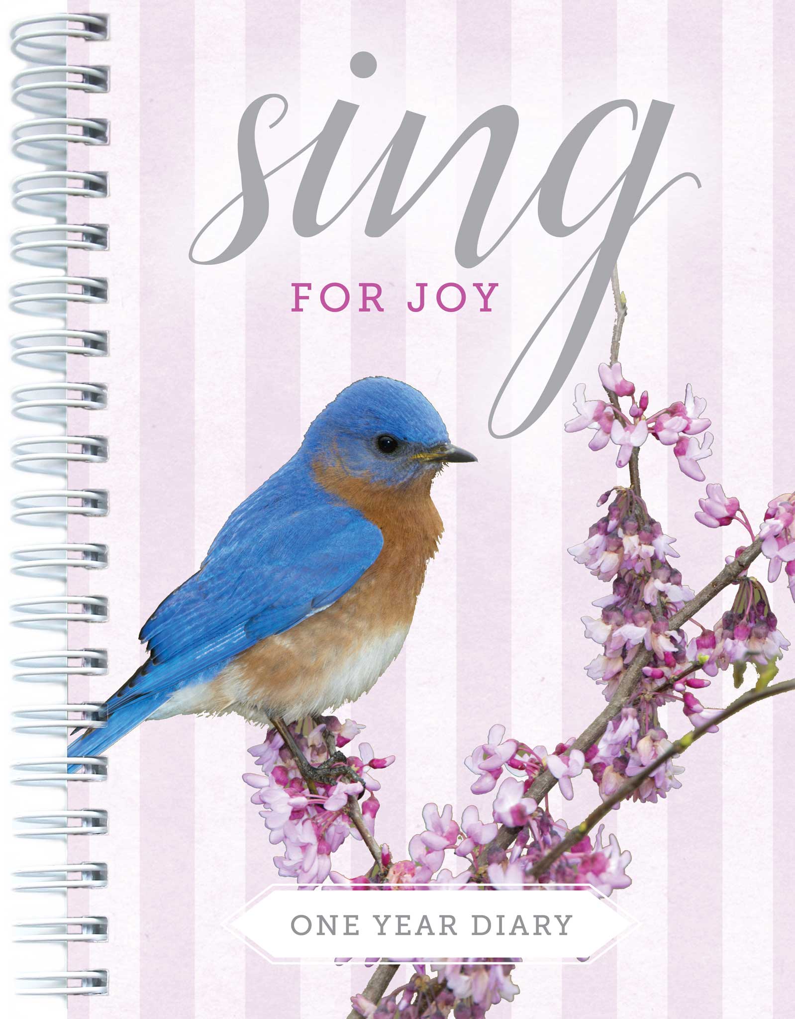 Image of One Year Diary: Sing for Joy