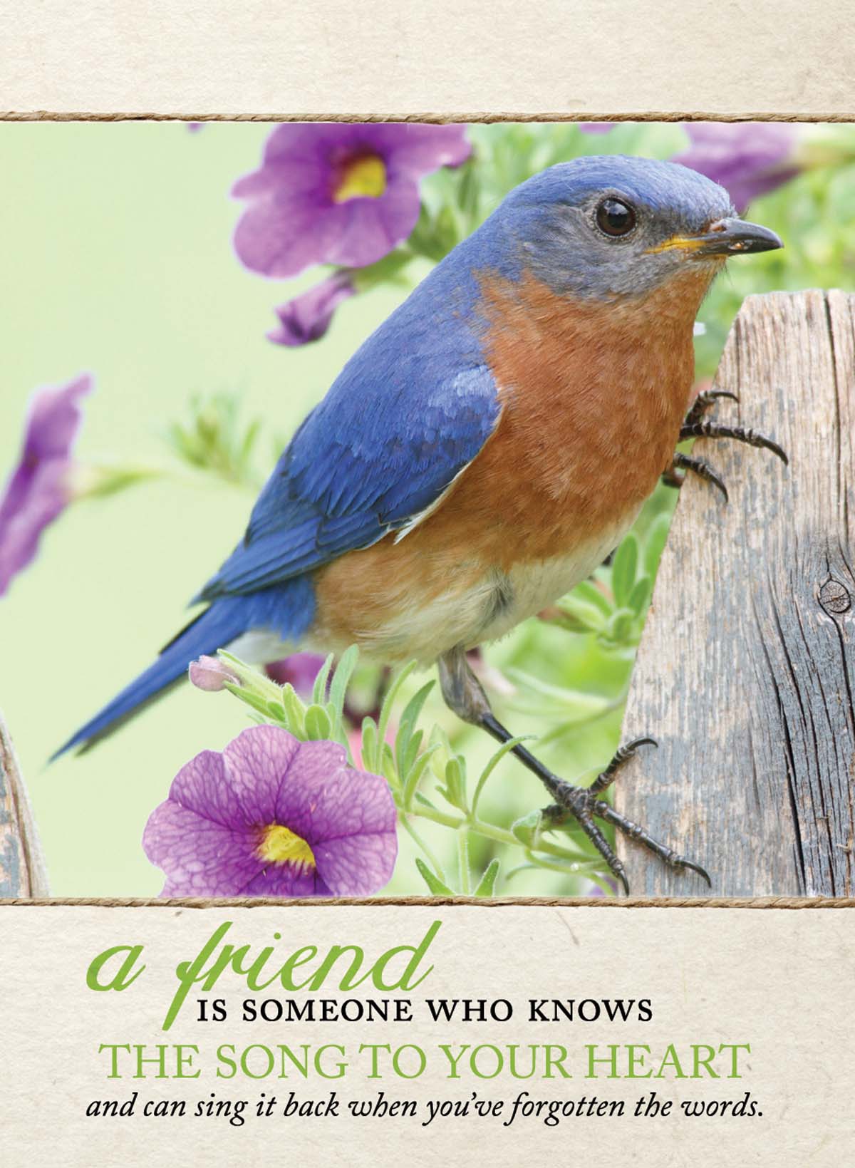 Image of Handy Tablet: Bluebird