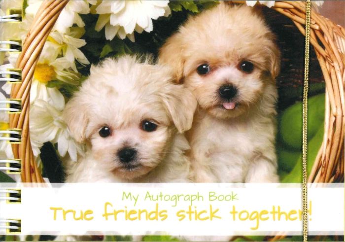 Image of Autograph Book: Stick Together