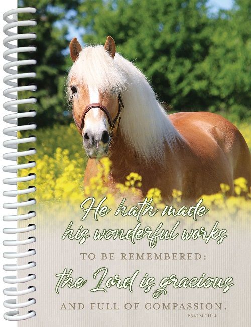 Image of Note Book Gracious -Horse in Field