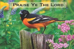 Image of Autograph Book Praise Ye the Lord