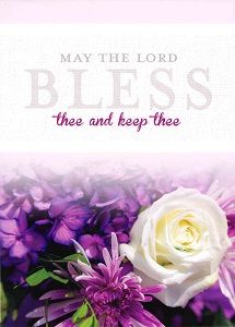 604-0169 Product Image 1