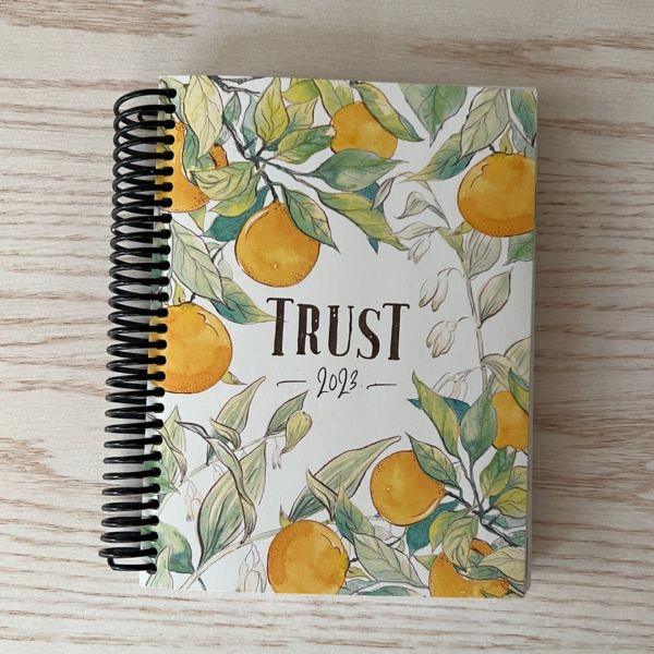 Image of Classic Weekly Planner 2023 Trust