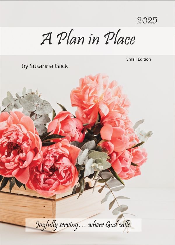 Image of A Plan in Place 2025 – Mini