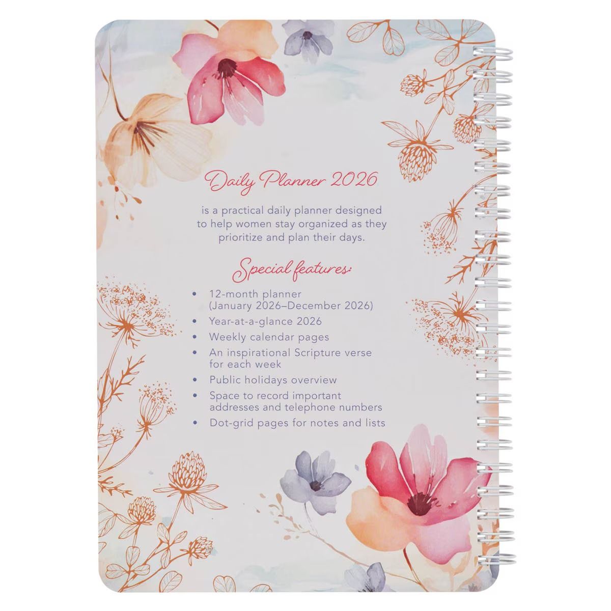 615-1117 Product Image 2