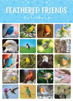 Image of Feathered Friends Mini Stickers