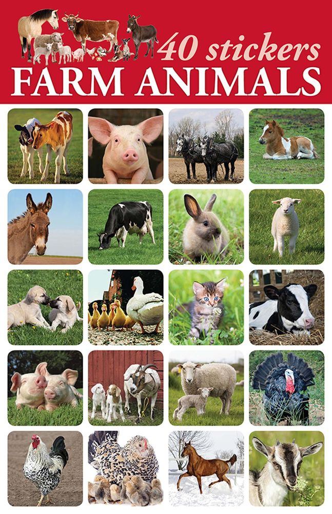 Product 616-0535 - View 1 616-0535 Product Image 1