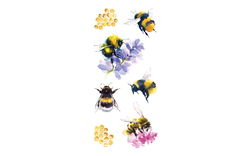 Image of Bees Sticker