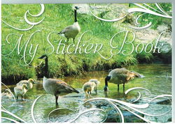 Image of My Sticker Album – Canadian Geese – Collector’s Album