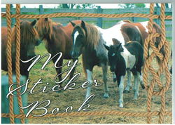 Image of My Sticker Album – Ponies – Collector’s Album